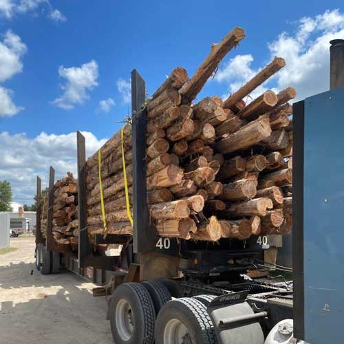 Load of Logs Heading to the Mill