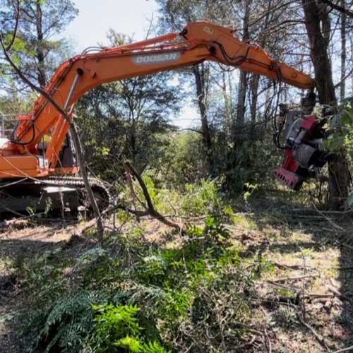 Excavator  and Felling Head Clearing the Land